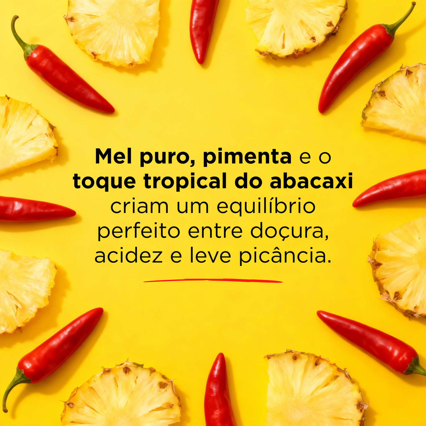 Hot Honey - Mel e Pimenta e Abacaxi 290g